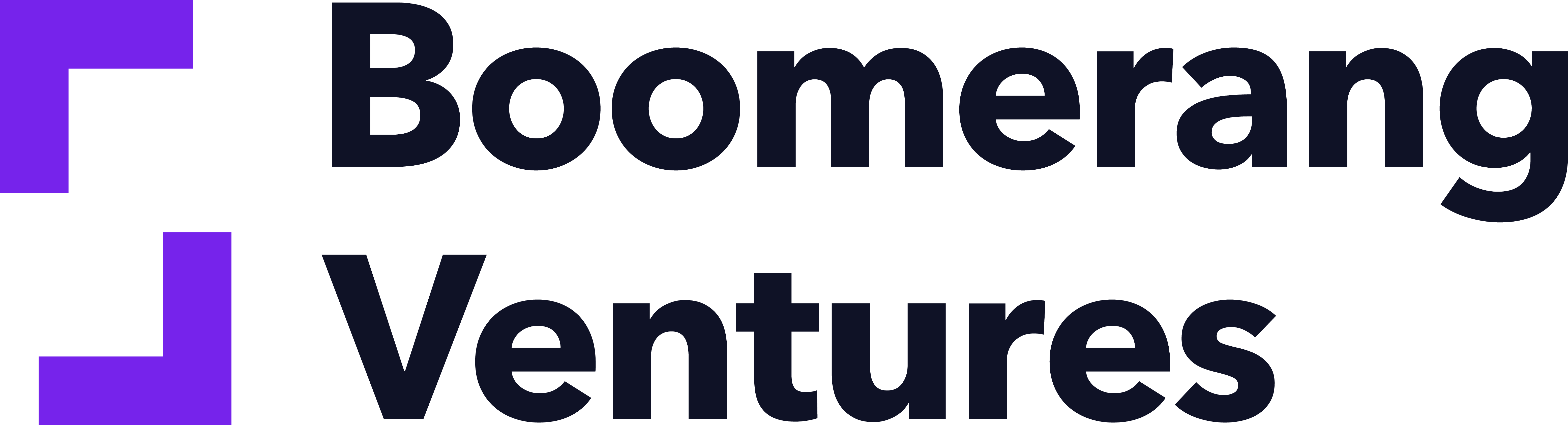 Boomerang Ventures + Venture Studio  